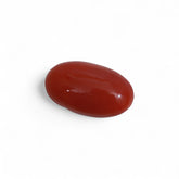 Coral - लाल मूंगा (Laal Moonga) | 6.7 ct from Japan | Certified Loose Gemstone for Astrology & Jewelry